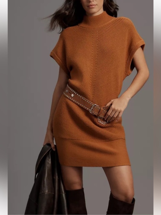 Anthropologie Dresses & Skirts - NWT Anthropologie Mock-Neck Sweater Short-Sleeve Mini Dress. Medium